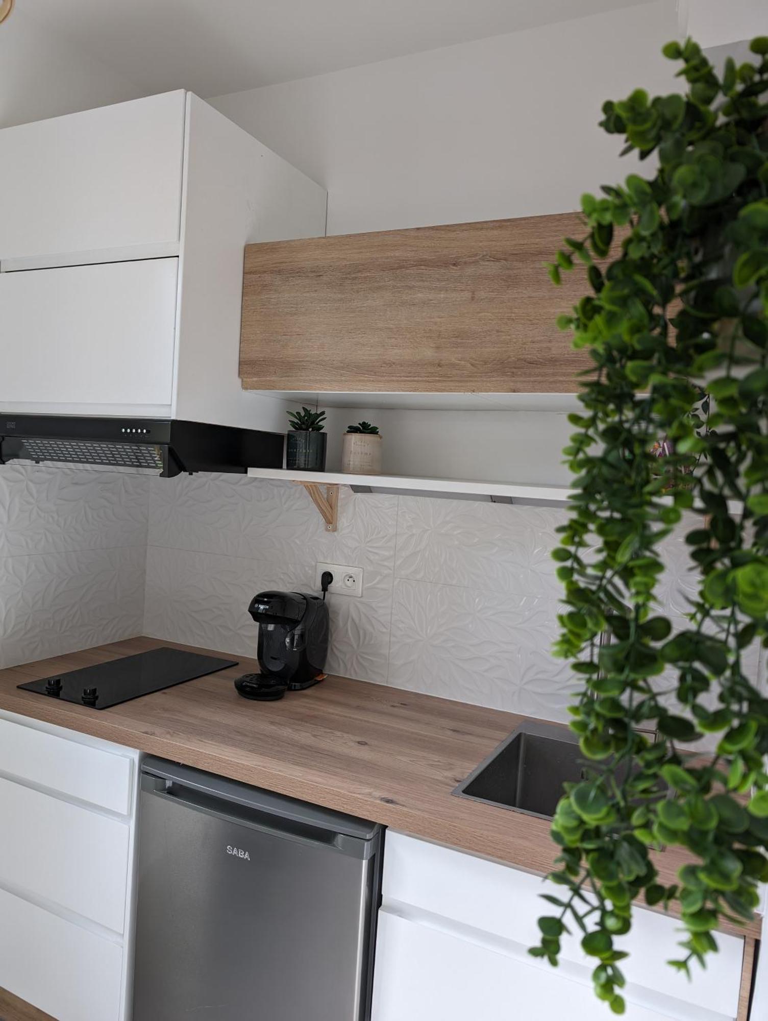Appartement Cosy Au Calme A Cote Du Zoo Avec Balcon Et Parking Securise モンペリエ エクステリア 写真