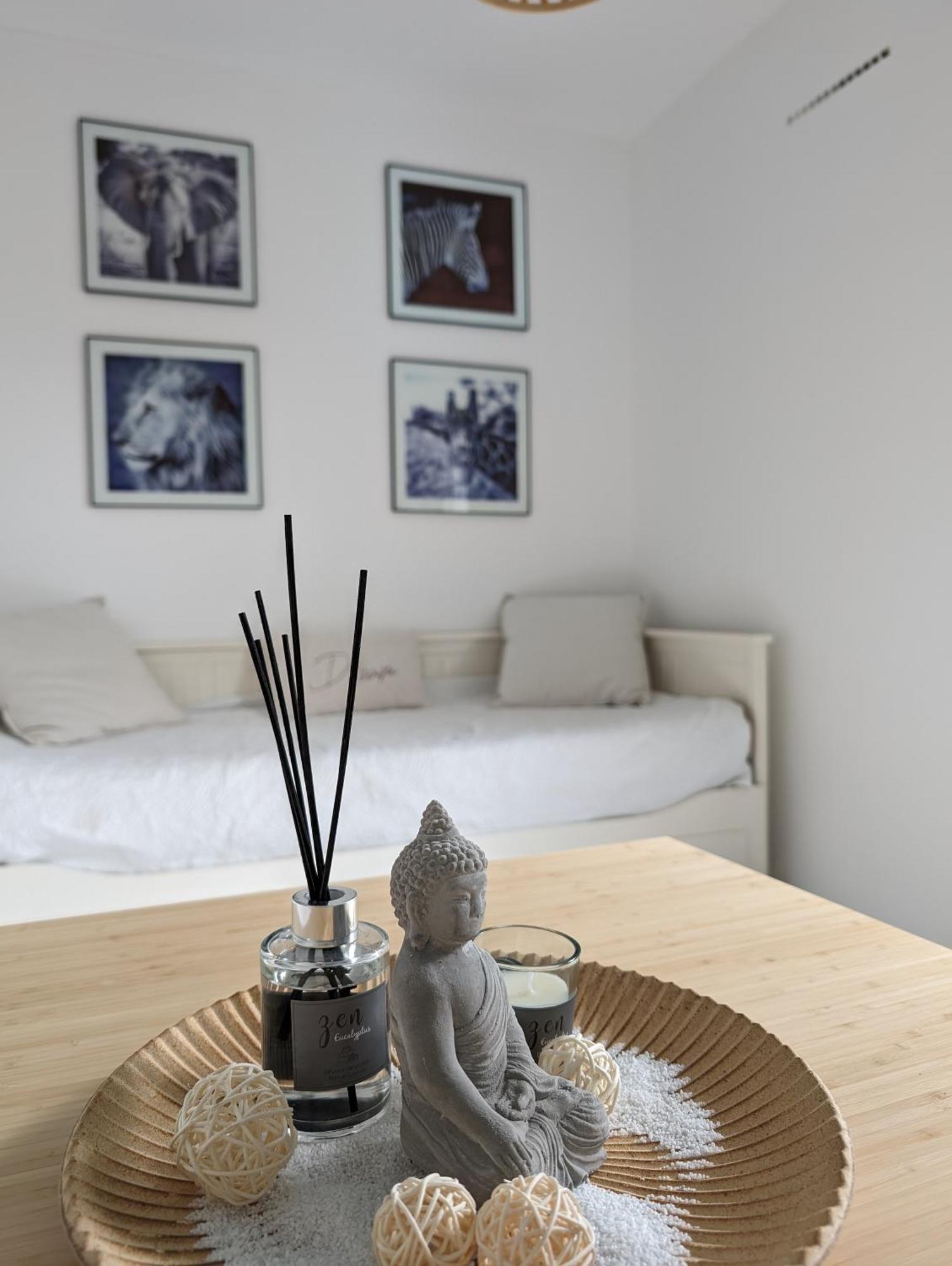 Appartement Cosy Au Calme A Cote Du Zoo Avec Balcon Et Parking Securise モンペリエ エクステリア 写真